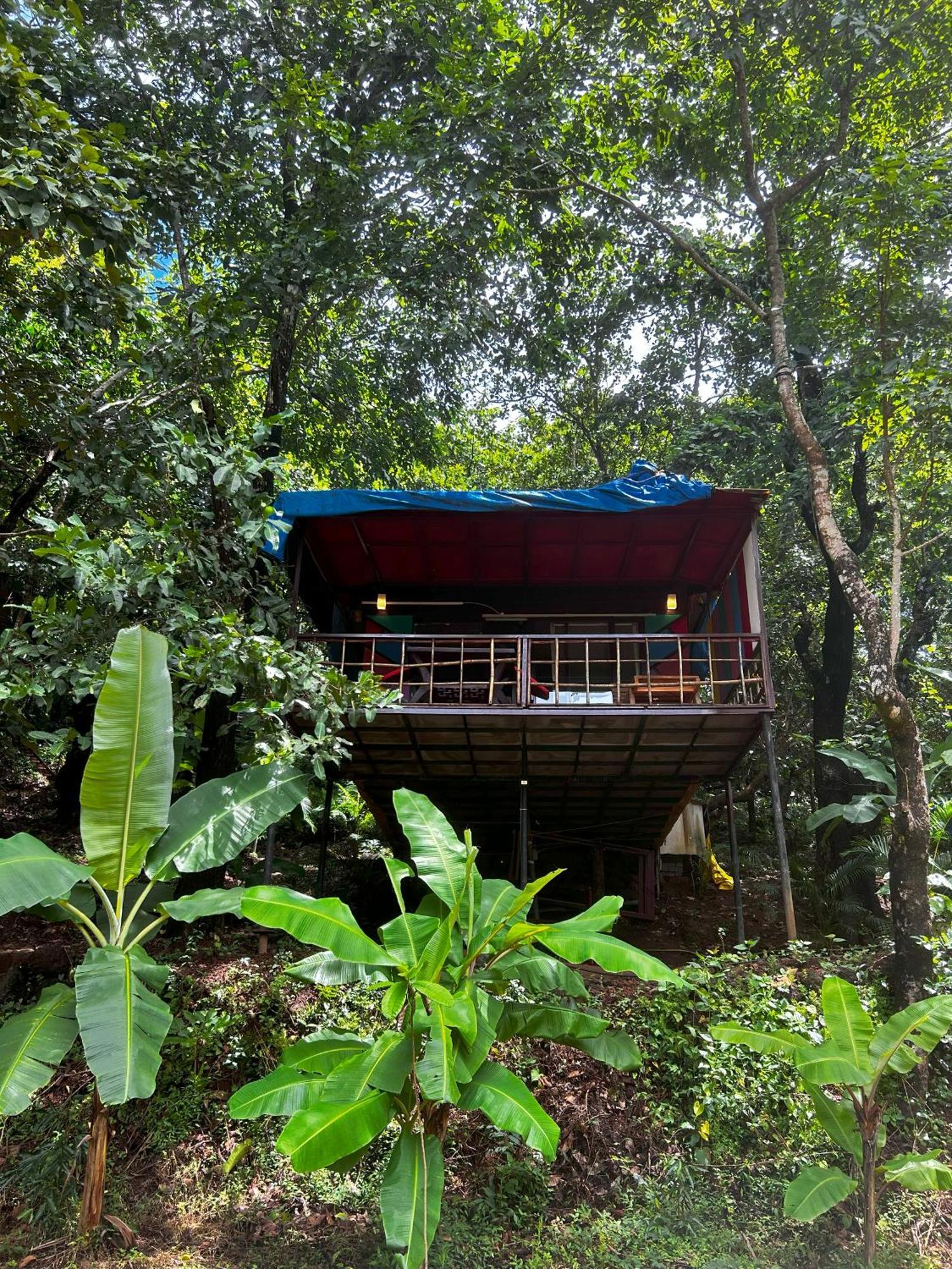 Samyama Retreat Hotel Cola Luaran gambar