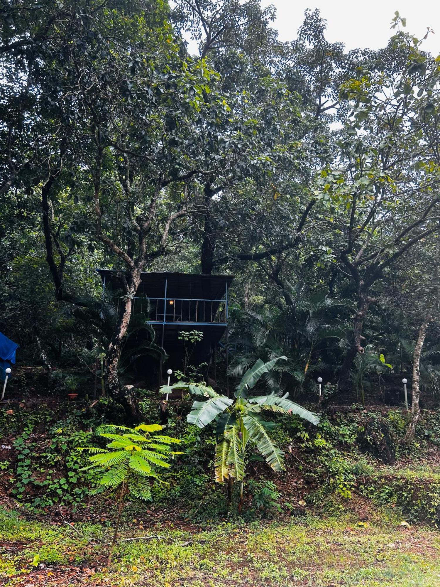 Samyama Retreat Hotel Cola Luaran gambar