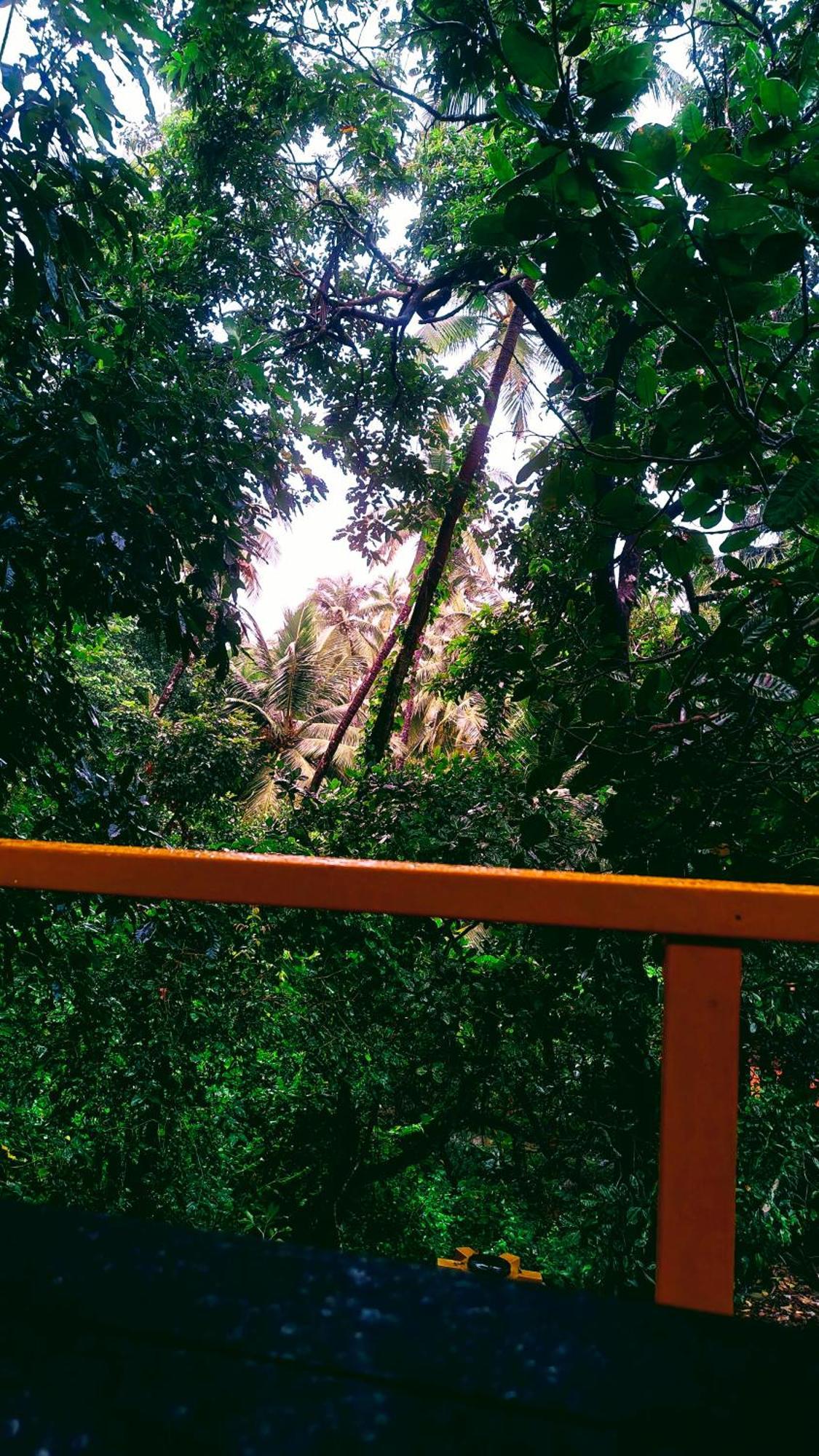 Samyama Retreat Hotel Cola Luaran gambar